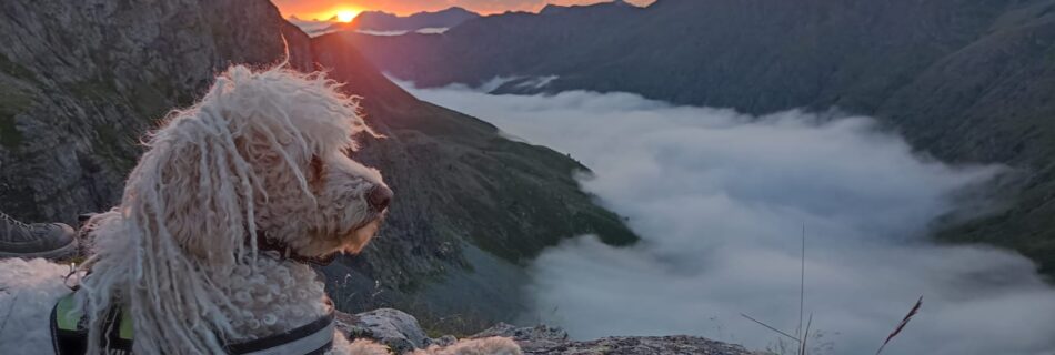Juan Fco. Rubio Maratón Fotográfico Anayet 2023 Plataforma en Defensa de las Montañas de Aragón